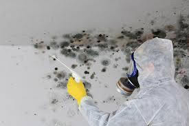 Best Industrial Mold Remediation  in Wasilla, AK